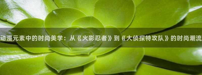 omofun动漫最新版本：动漫元素中的时尚美学：从《火影忍者》到《大侦探特攻队》的时尚潮流