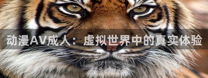 omofun网页版入口