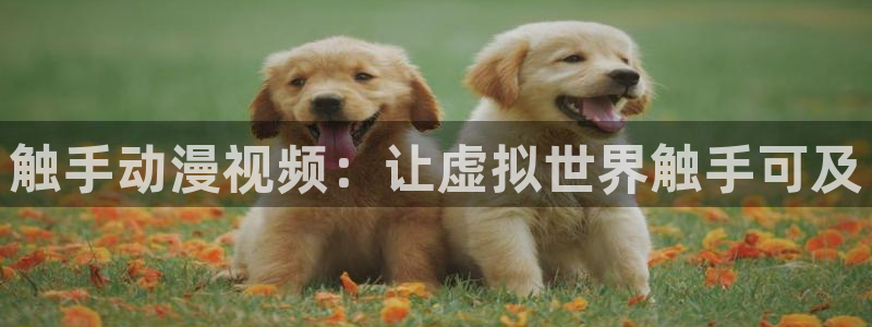 omofun正版下载