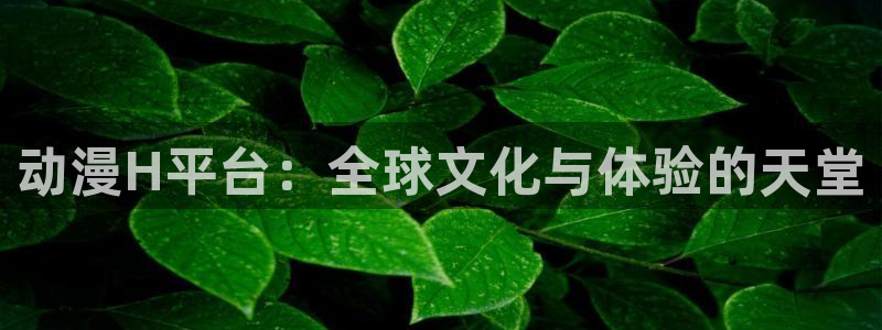 omofun动画网