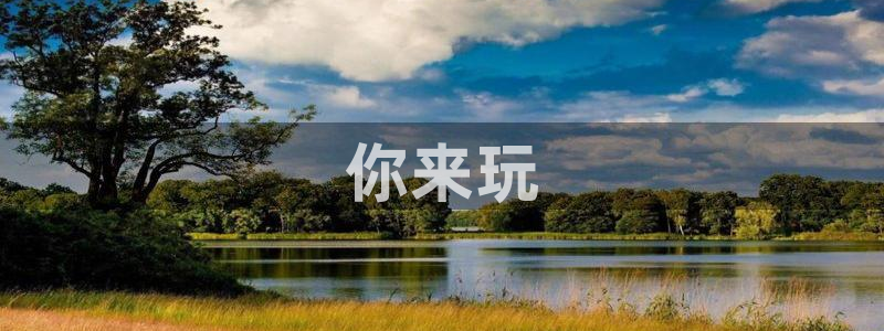 omofun完整版：你来玩
