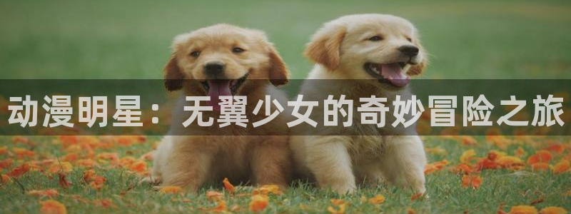 omofun官网网站入口