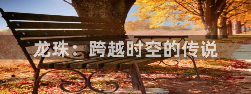 omofun.cn：龙珠：跨越时空的传说