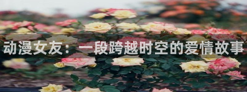 omofun官方网：动漫女友：一段跨越时空的爱情故事