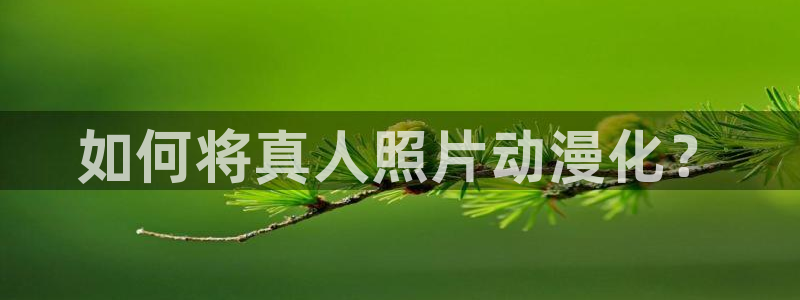 omofun动漫 官网：如何将真人照片动漫化？