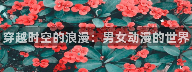 omofunapp下载：穿越时空的浪漫：男女动漫的世界