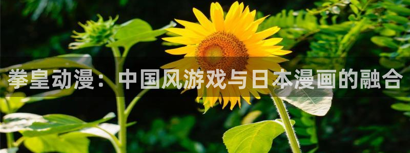 omofun动漫网页版：拳皇动漫：中国风游戏与日本漫画的融合