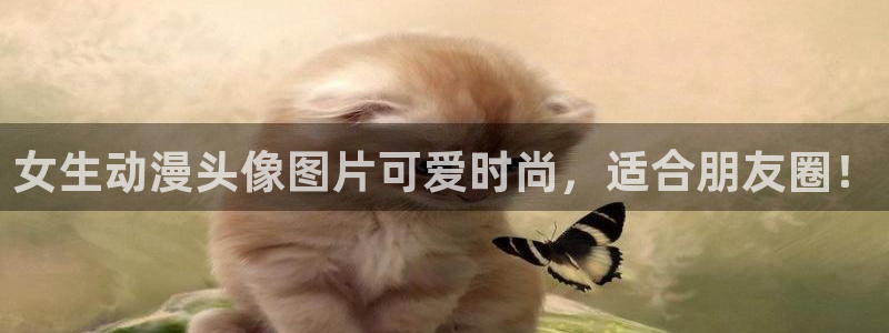 omofunapp：女生动漫头像图片可爱时尚，适合朋友圈！
