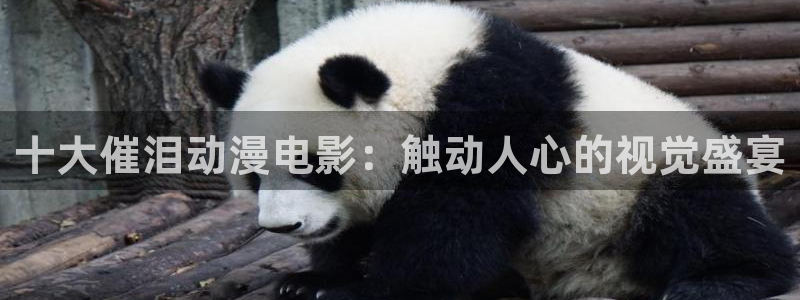 omofun怎么下