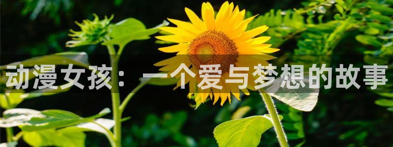 omofun,：动漫女孩：一个爱与梦想的故事
