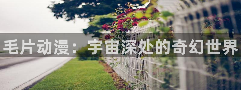 omofun正版app下载：毛片动漫：宇宙深处的奇幻世界